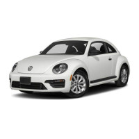 VW Beetle (2011-2019)